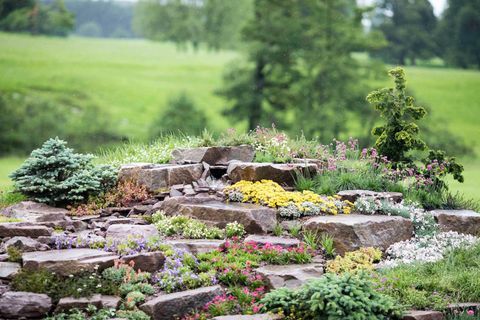 RHS Chatsworth Flower Show 2017 dzisiaj (wtorek 6 czerwca 2017 r.) Jackie Knight's Just Add Water