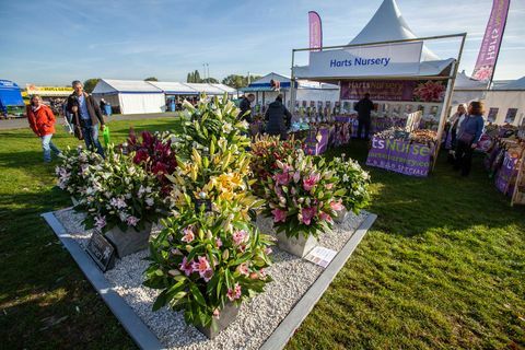 Malvern Autumn Show, Gardening Village