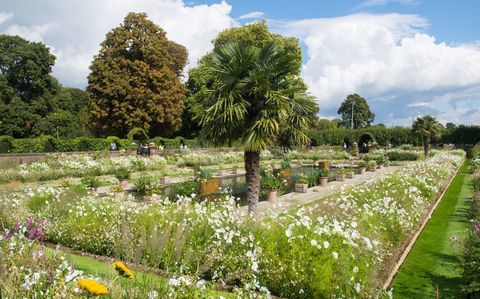 Sunken Garden at Kensington Palace