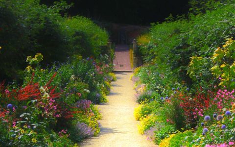 ścieżka-angielski-ogród-kraj