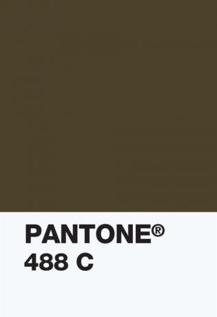 Pantone Color Institue - próbka koloru 448c - nieprzezroczysta kanapa