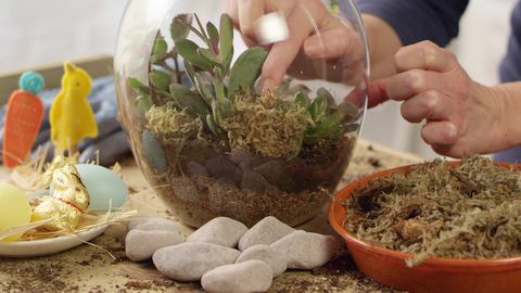 Jak zrobić terrarium wielkanocne