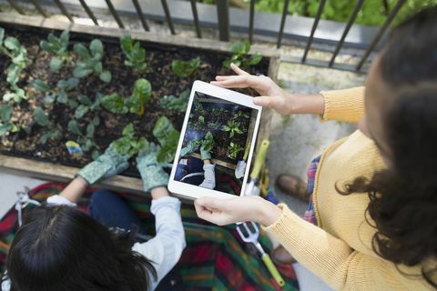 Widok z góry dziewczyna fotografuje ogrodnictwo matki z cyfrowym tabletem
