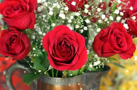Zamyka up czerwone róże w wazie