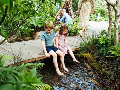 George, Louis, Charlotte pomogli Kate Middelton w zaprojektowaniu Chelsea Flower Show Garden