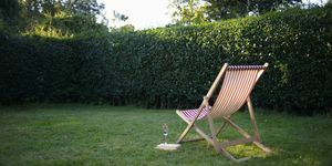 Pojedyncze krzesło z książką i winem musującym, ustawione w wiejskim ogrodzie.
