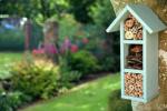 5 najważniejszych wskazówek Alys Fowler, aby przyciągnąć pszczoły do ​​ogrodu