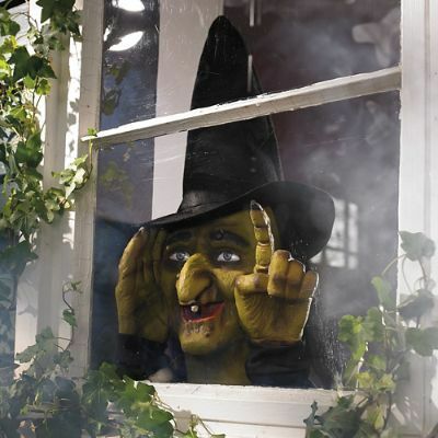  Podglądająca Halloweenowa wiedźma z okna 3D