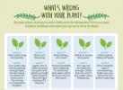 Jak dbać o rośliny doniczkowe