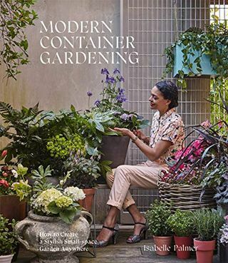 Nowoczesne ogrodnictwo w pojemnikach: jak stworzyć stylowy ogród o małej przestrzeni w dowolnym miejscu