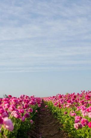 Carlsbad, Kalifornia