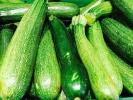 Niedobór warzyw uderzy w supermarkety w Wielkiej Brytanii tego lata po miesiącach złej pogody