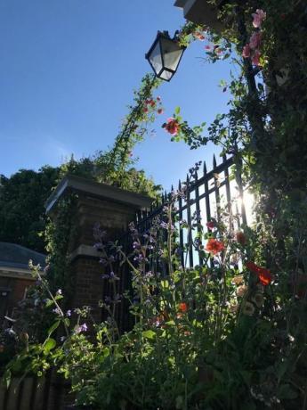 Jamjar kwiat projekt londyńskiej bramy, rhs chelsea flower show