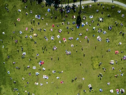 Ogólny widok ludzi w parku miejskim w letni dzień, siedzących, stojących, na dywanikach piknikowych.