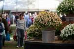 RHS Malvern Autumn Show 2022: daty, bilety, najważniejsze wydarzenia