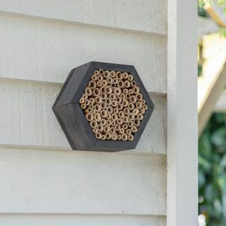 Szetlandzki sześciokątny dom pszczół