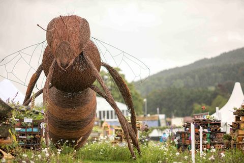 RHS Chatsworth Flower Show 2017 dzisiaj (wtorek 6 czerwca 2017 r.) RHS School Competition - Bug Hotels