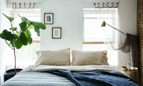 niebieska sypialnia z rośliną