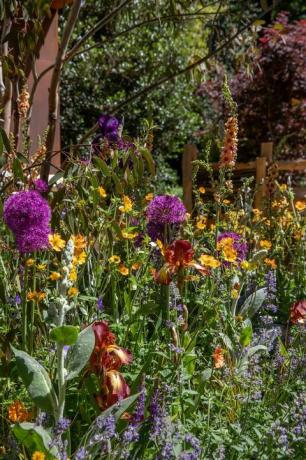 ogród w salonie karoserii zaprojektowany przez jennifer hirsch rhs chelsea flower show 2022