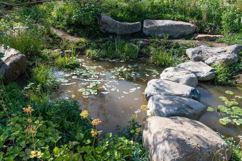 Ogród 30-lecia Countryfile. Zaprojektowane przez: Ann-Marie Powell. Feature Garden. RHS Hampton Court Palace Flower Show 2018