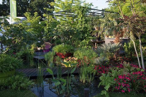 „B&Q Bursting Busy Lizzie Garden” - RHS Hampton Court Palace Flower Show 2018