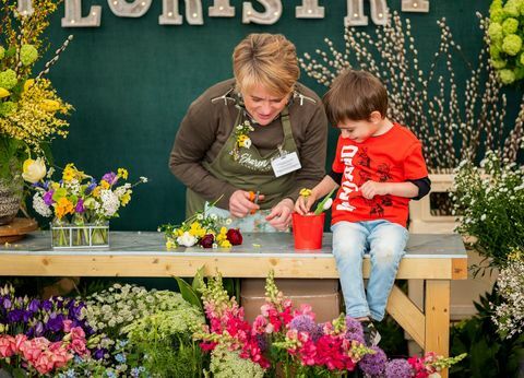 Cardiff Flower Show 2019