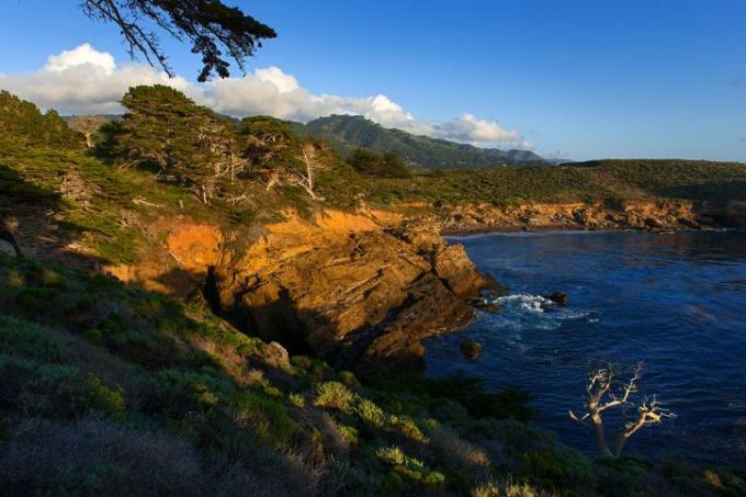 linia brzegowa i morze, rezerwat przyrody stan point lobos autostrada pacyfiku, kalifornia, usa