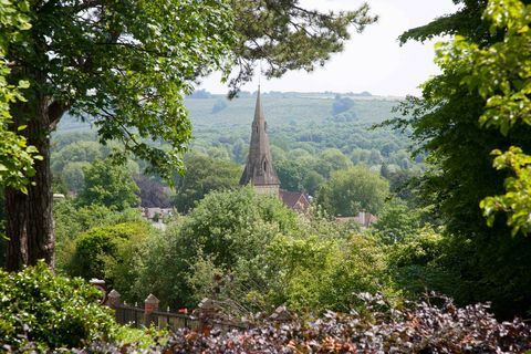 Widok na dom pagody, Winchester, Savills