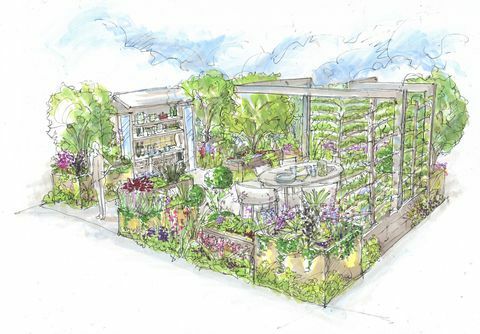 Chelsea Flower show 2021, ogród z pietruszką zaprojektowany przez alan williams