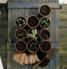 17 rzeczy, które zrozumiesz, jeśli masz obsesję na punkcie ogrodnictwa
