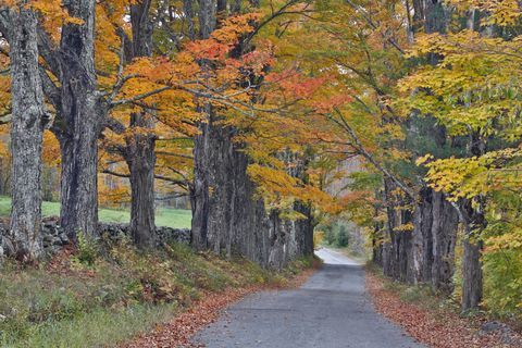 Sugar Hill, New Hampshire, Las