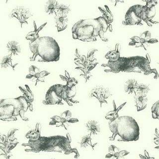 Zainspirowany tapetą Color Bunny Toile At4263