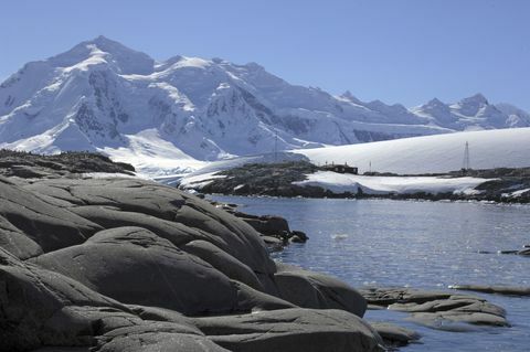 Brytyjska stacja badawcza Port Lockroy