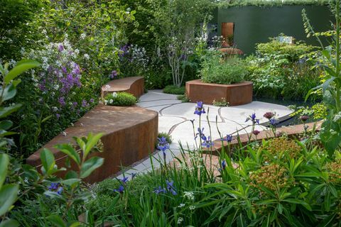 chelsea flower show 2022 studia bbc nasz ogród pszczeli z zielonej planety rhs zaprojektowany przez joe swiftego