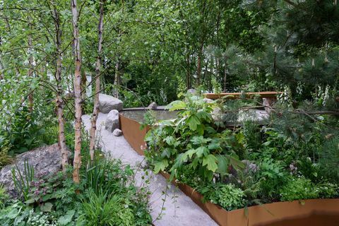 Family Monsters Garden, zaprojektowany przez Alistair Bayford - Chelsea Flower Show 2019