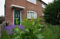 Proste sposoby, w jaki Twój ogród może zwiększyć wartość domu o 5000 funtów