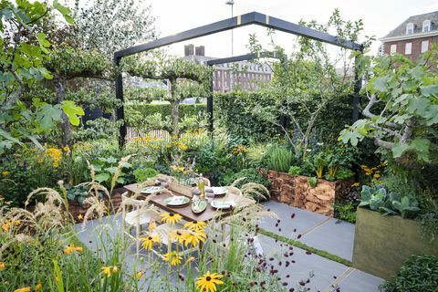 rhs chelsea flower show garden zaprojektowany przez alan williams dla skrzynki pietruszki z konsultantami ds. ukształtowania terenu ltd, chelsea 2021 uk