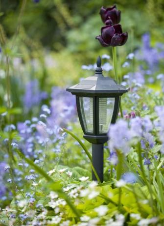 Solar Garden Light: lampa ogrodowa zasilana światłem słonecznym