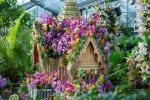 Kew Gardens Orchid Festival 2019 Daty i informacje o biletach