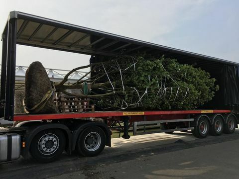 Chelsea Flower Show 2019: Rozpoczyna się powitanie w ogrodzie w Yorkshire