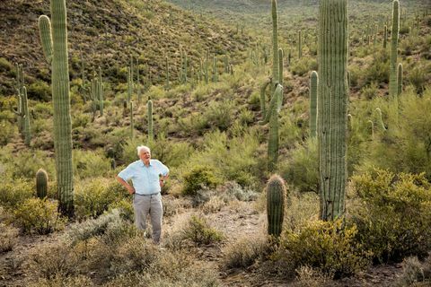 Zielona planeta Davida Attenborough w pięciu częściach serii roślin na BBC One