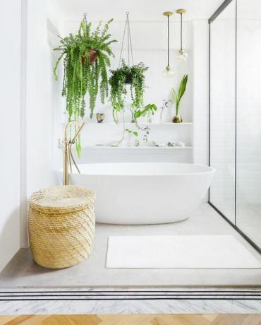 remont łazienki, biała łazienka z roślinami, wanny victoria Albert