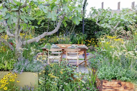 rhs chelsea flower show 2021 ogrody sanktuarium