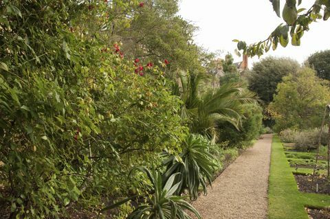 Chelsea Physic Garden, Londyn, Anglia