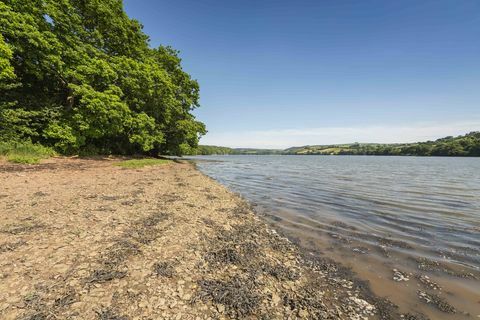 Wood House - Devon - Savills - plaża - Oryginalna fotografia fotografii