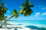 Możesz wybrać się na najlepsze wakacje na Hawajach za jedyne 29 USD