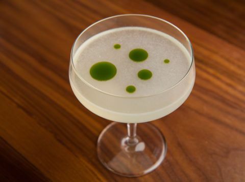 bazylia gimlet