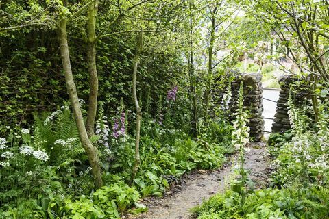 Chelsea Flower Show 2019 - Welcome to Yorkshire garden by Mark Gregory