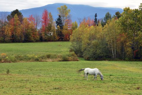 Sugar Hill, New Hampshire, jesień krajobraz