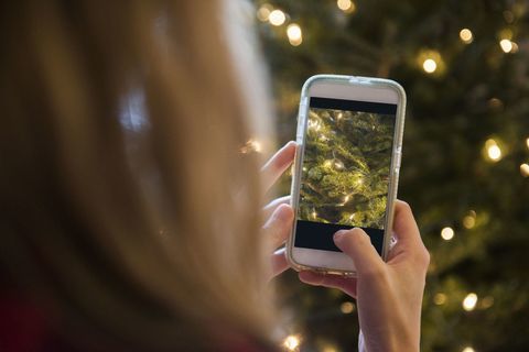 Kobieta fotografuje choinki z telefonem komórkowym